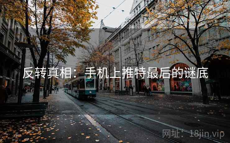 反转真相：手机上推特最后的谜底  第2张