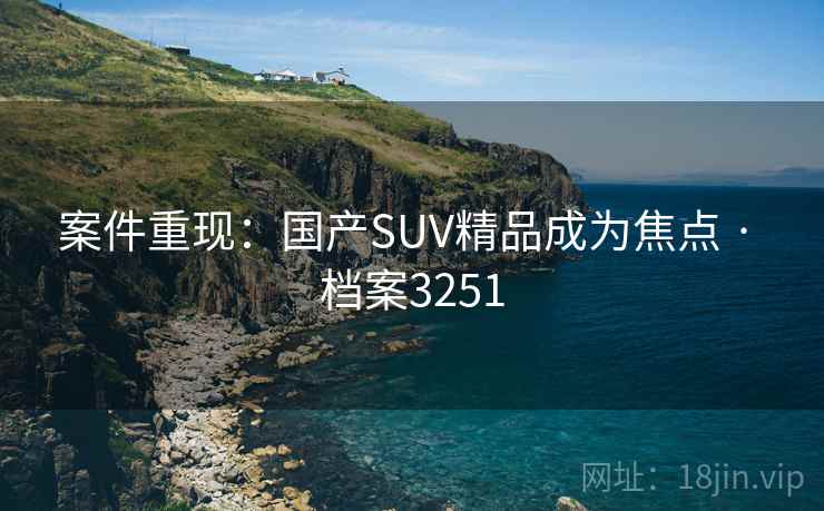 案件重现：国产SUV精品成为焦点 · 档案3251