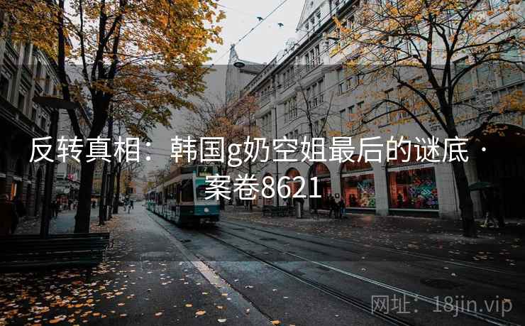 反转真相：韩国g奶空姐最后的谜底 · 案卷8621