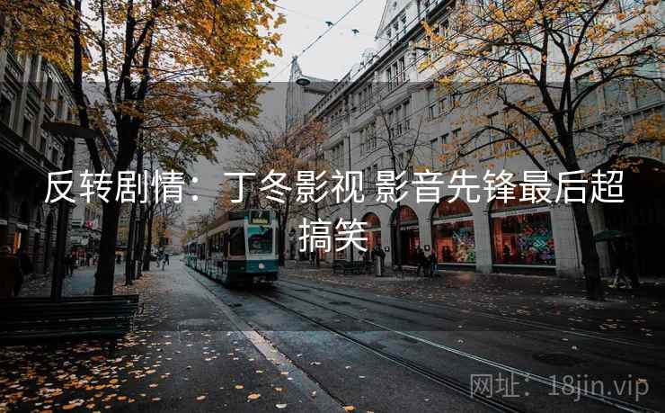 反转剧情：丁冬影视 影音先锋最后超搞笑  第2张